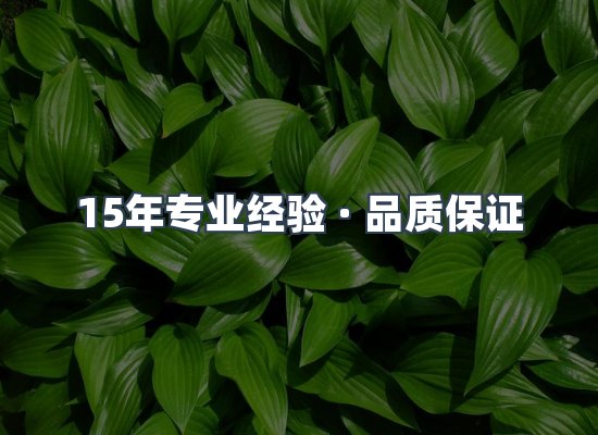 工业除尘器设备展示